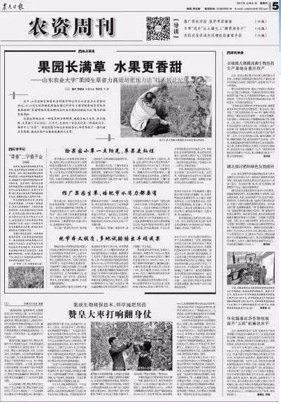果園生草 自然農(nóng)法的甜蜜成果與轉(zhuǎn)讓新機